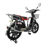 Factory direct sale of Yuying head, Bailingwang CG pedal, sports seat, LED taillight electric bike.